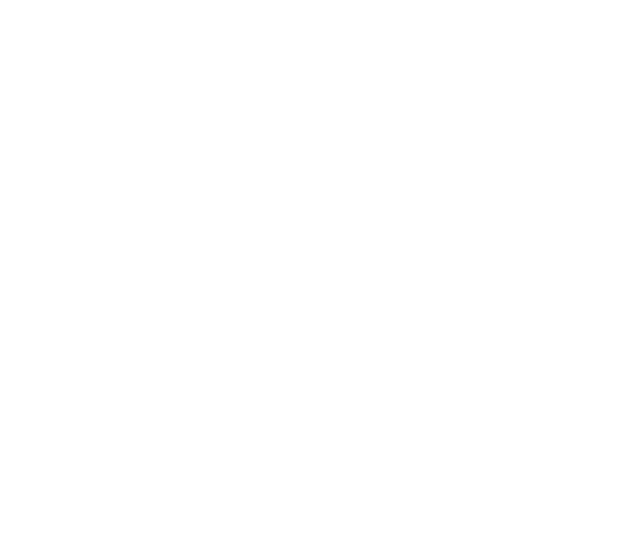 Icelandic Wildlife Fund