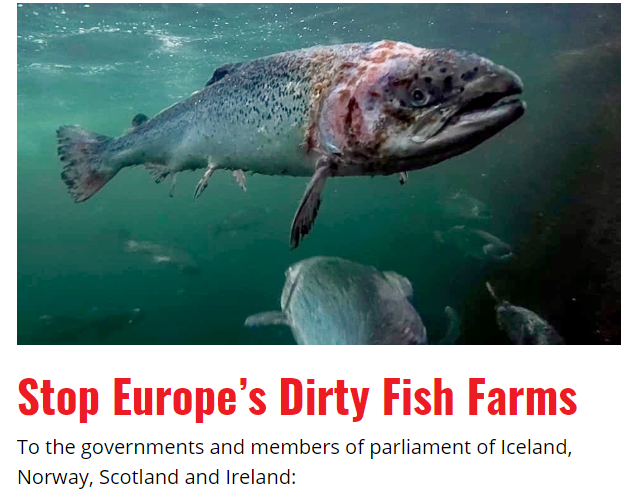„Stop Europe’s Dirty Fish Farms“