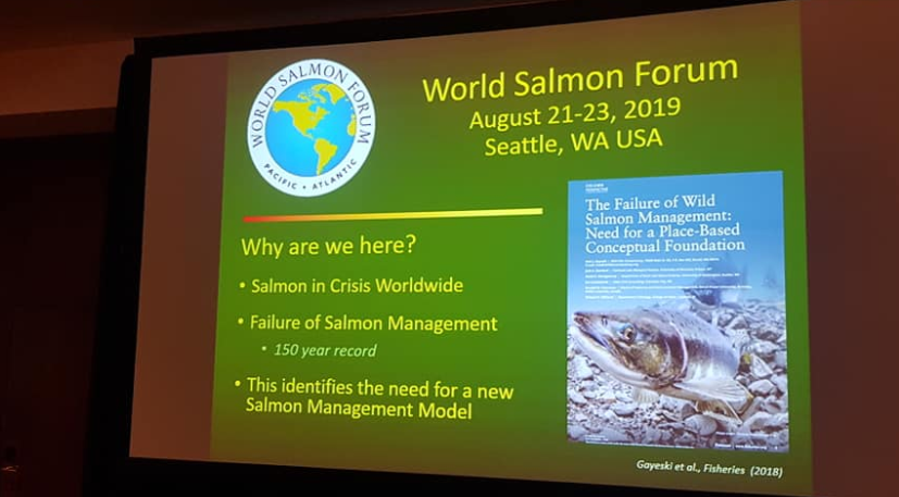 Lokadagur World Salmon Forum í dag: Hnignun vistkerfa af mannavöldum ógnar villtum laxi um allan heim