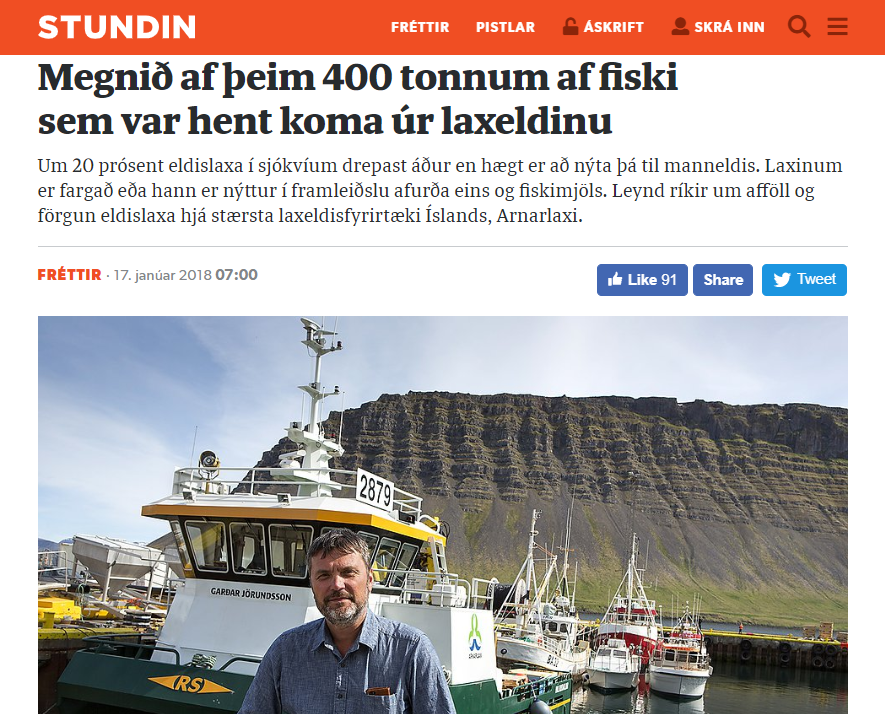 Hátt í 400 tonn af fiski úr laxeldi var urðað á öskuhaugum: 400 tonn eru um 100.000 fiskar