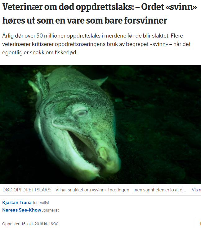 NRK fjallar um ástand eldislaxa í norsku sjókvíaeldi