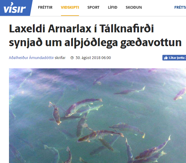 Arnarlax var synjað um alþjóðlega gæðavottun: Framleiðslan er mengandi og óumhverfisvæ