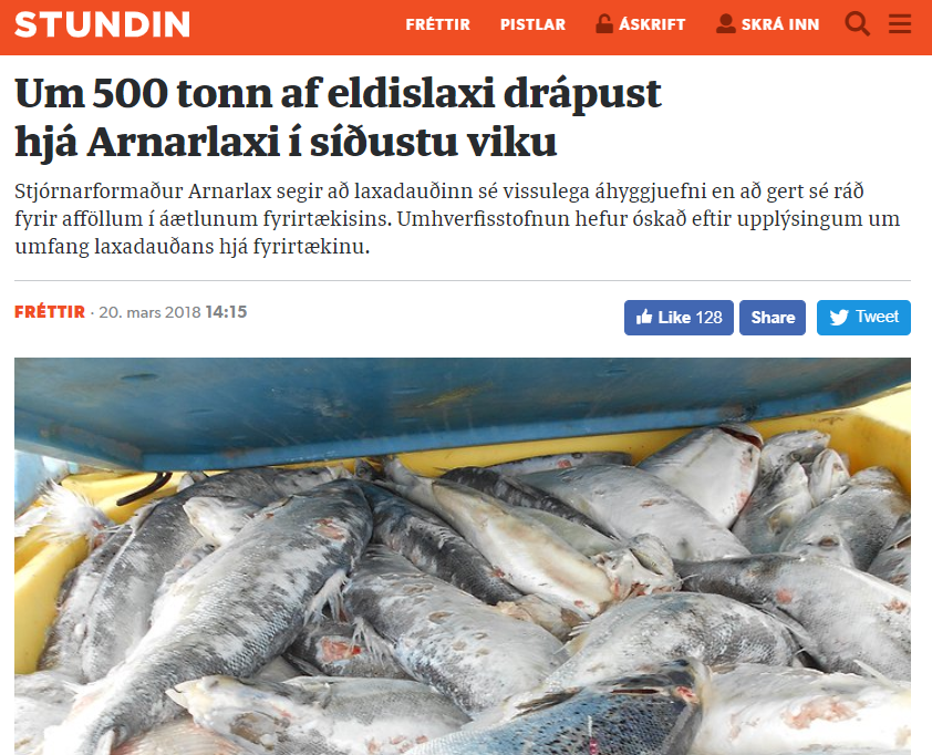 Skelfilegar fréttir úr Arnarfirði og Tálknafirði: 500 tonn af eldislaxi drápust hjá Arnarlaxi