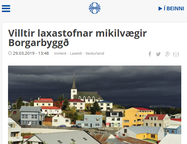 Villtir laxastofnar gríðarlega mikilvægir fyrir afkomu íbúa Borgarbyggðar