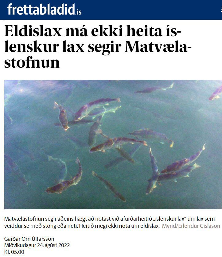Norskur sjókvíalax úr verksmiðjubúskap er ekki, og verður, ekki „íslenskur lax“