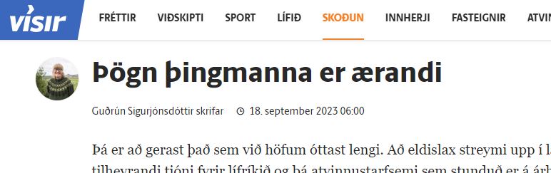„Þögn þingmanna er ærandi“ – grein Guðrúnar Sigurjónsdóttur