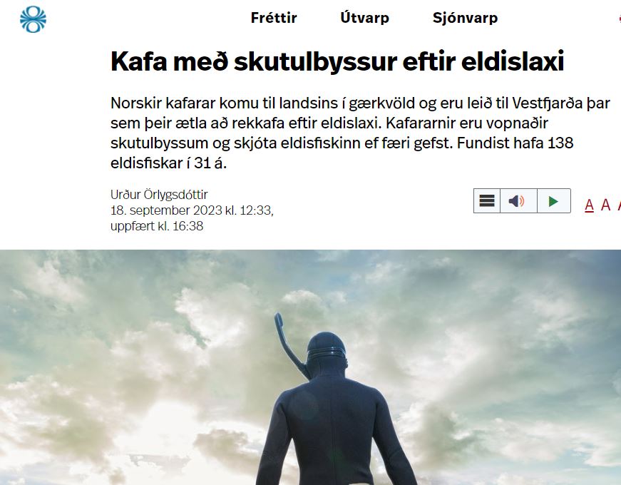 Súrrealískt ástand: Norskir kafarar með skutulbyssur komnir á vettvang