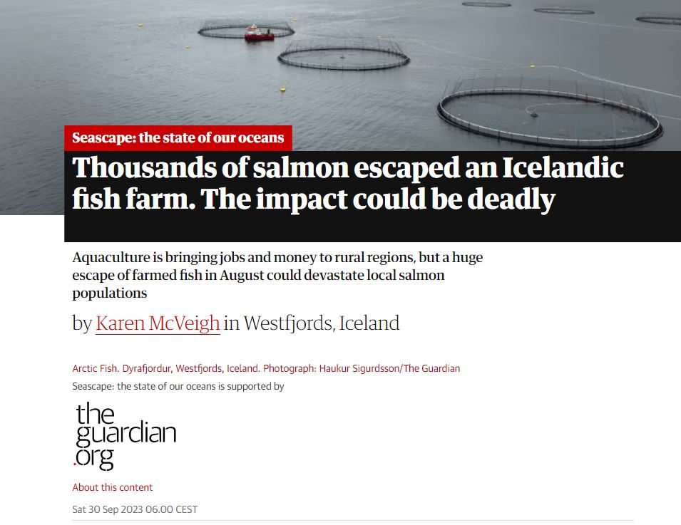 The Guardian birtir vandaða fréttaskýringu um sleppislysið í Patreksfirði