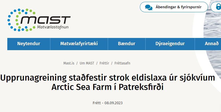 Arctic Fish sinnti engu eftirliti með kvínni í Patreksfirði í þrjá mánuði