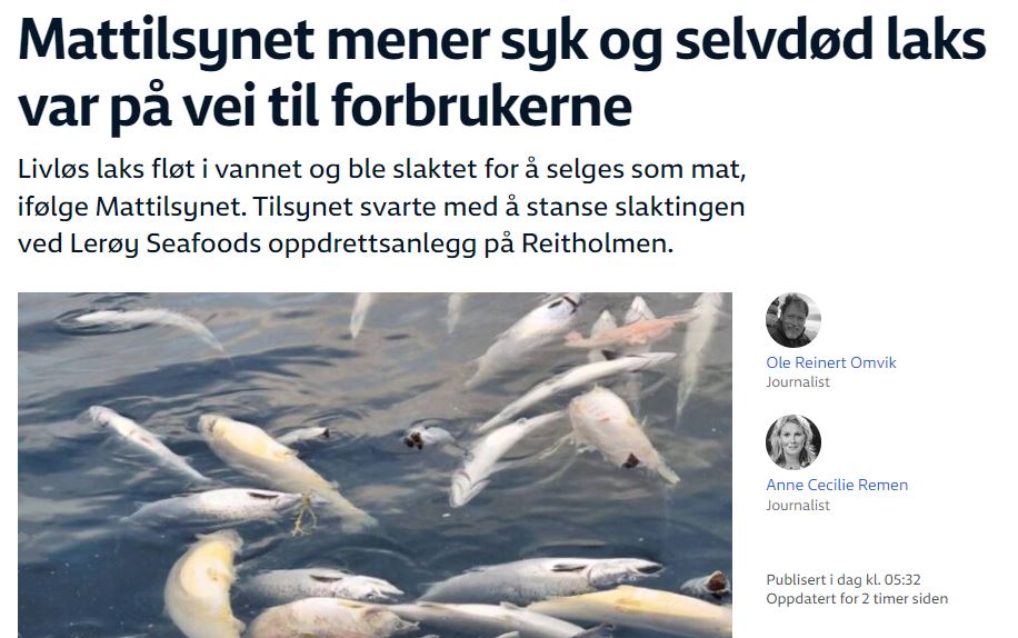 Eitt stærsta sjókvíaeldisfyrirtæki Noregs ætlaði að selja sjálfdauðan fisk til neytenda