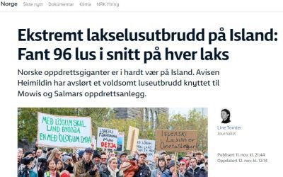 Umfjöllun NRK um lúsapláguna og laxadauðann hjá Arctic Fish og Arnarlaxi