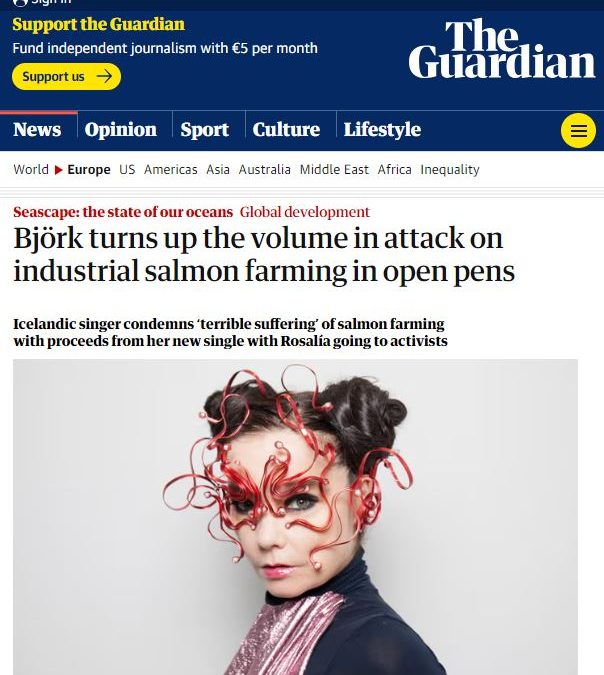 Umfjöllun um Björk í The Guardian
