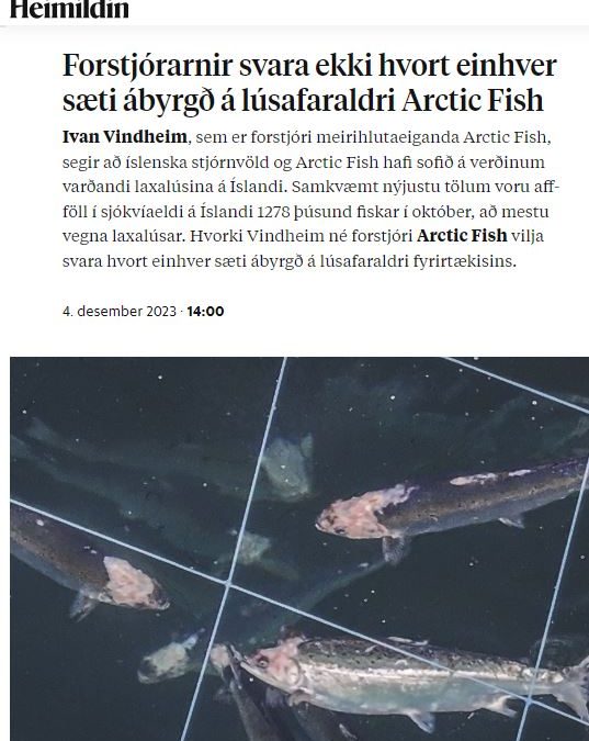 Enginn hjá Arctic Fish ber ábyrgð á hryllingnum sem hlaust af fordæmalausri lúsaplágu félagsins