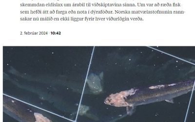 Móðurfélag Fiskeldis Austfjarða sem seldi sjálfdauðan fisk í neytendaumbúðum