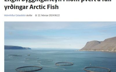 Vinnulag Arctic Fish virðast vera að segja ævinlega ósatt: Engin byggingarleyfi, þvert á fullyrðingar