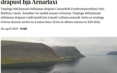 Laxadaðinn fyrstu þrjá mánuði ársins kominn í um 1,3 milljónir fiska