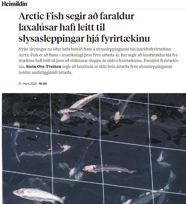 Ný og óvænt eftiráskýring Arctic Fish á sleppislysinu í fyrra