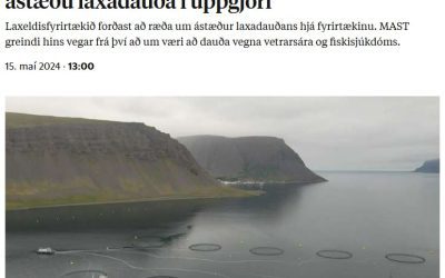 Arnarlax þegir um ástæður gríðarlegs laxadauða þrátt fyrir að hafa áður lofað að upplýsa um þær