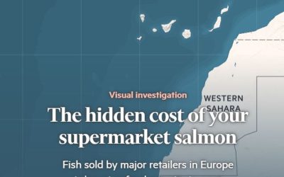 Financial Times fjallar um kostnaðinn sem fylgir sjókvíaeldinu: Eyðilegging fiskimiða og samfélaga