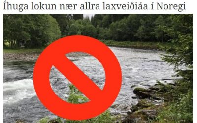 Íhuga lokun nánast allra laxveiðiáa til að afstýra algeru hruni norskra laxastofna