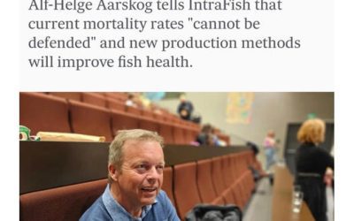 Fyrrum forstjóri Mowi, móðurfélags Arctic Fish segir laxadauða í opnum sjókvíum óverjandi