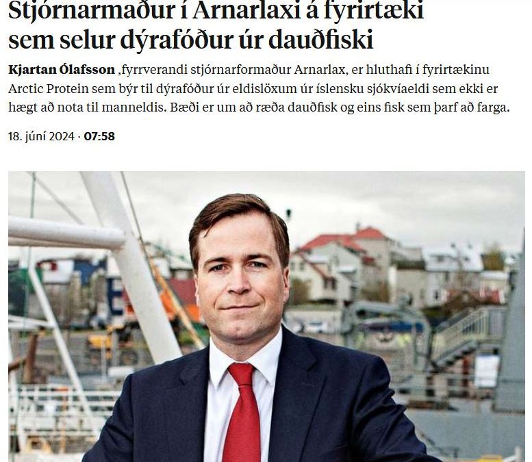 Stjórnarformaður Arnarlax græðir, hvort sem fiskurinn drepst í kvíunum eða er slátrað til manneldis