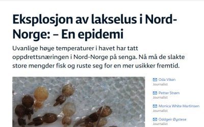 NRK – Neyðarástand í sjókvíum í Norður Noregi vegna sprengingar í fjölda laxalúsa