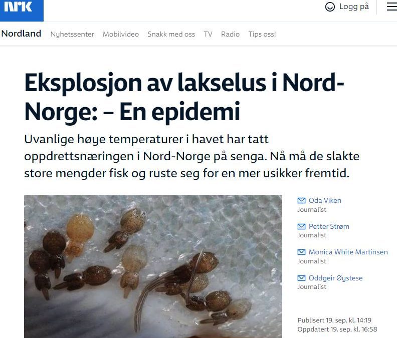 NRK – Neyðarástand í sjókvíum í Norður Noregi vegna sprengingar í fjölda laxalúsa