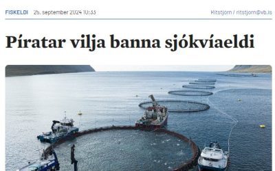 Píratar kalla eftir banni við sjókvíaeldi