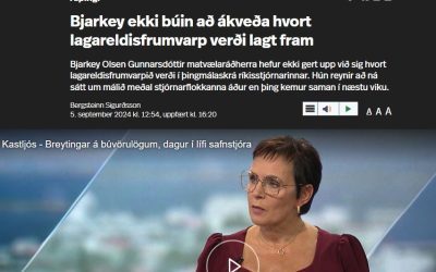 Bjarkey er enn að íhuga að gefa sjókvíaeldinu frítt spil til áframhaldandi mengunar og náttúruníðs