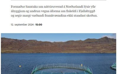 „Fiskeldi í Fjallabyggð eins og þruma úr heiðskíru lofti“ – Rakel Hinriksdóttir skrifar