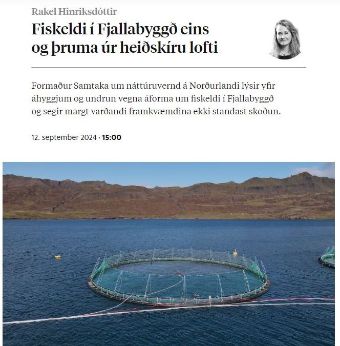 „Fiskeldi í Fjallabyggð eins og þruma úr heiðskíru lofti“ – Rakel Hinriksdóttir skrifar