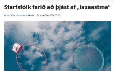 Vísir fjallar um laxaastmi sem hrjáir starfsfólk norskra laxasláturhúsa