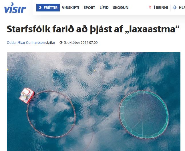 Vísir fjallar um laxaastmi sem hrjáir starfsfólk norskra laxasláturhúsa