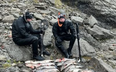 Hefur Sjálfstæðisflokkurinn tapað allri tengingu við bændur og bundið trúss sitt við norskt sjókvíaeldi?