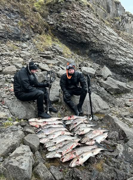 Hefur Sjálfstæðisflokkurinn tapað allri tengingu við bændur og bundið trúss sitt við norskt sjókvíaeldi?