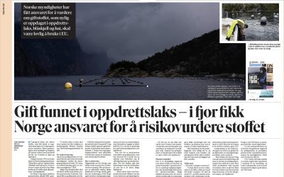 Dagens Nyheter fjallar áfram um koparmengun frá ásætuvörnum í sjókvíum