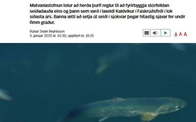 Ljóst að það þarf að herða reglur vegna gríðarlegs seiðadauða hjá Kaldvík